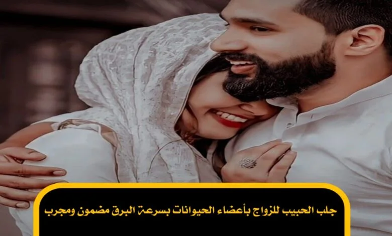 جلب الحبيب للزواج بأعضاء الحيوانات بسرعة البرق مضمون ومجرب